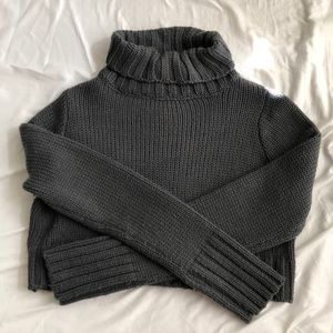 Tobi cropped turtle neck